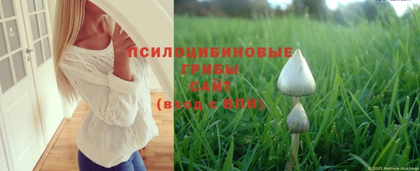 эйфоретик Зеленодольск