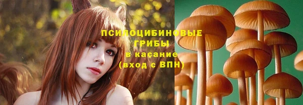 MESCALINE Заводоуковск