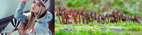 дистиллят марихуана Зерноград