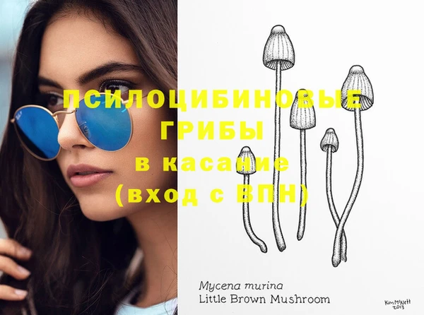 эйфоретик Зеленодольск